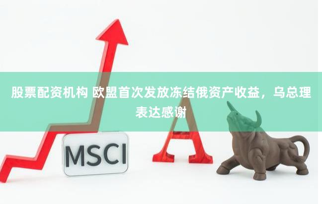 股票配资机构 欧盟首次发放冻结俄资产收益，乌总理表达感谢