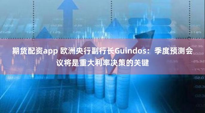 期货配资app 欧洲央行副行长Guindos：季度预测会议将是重大利率决策的关键