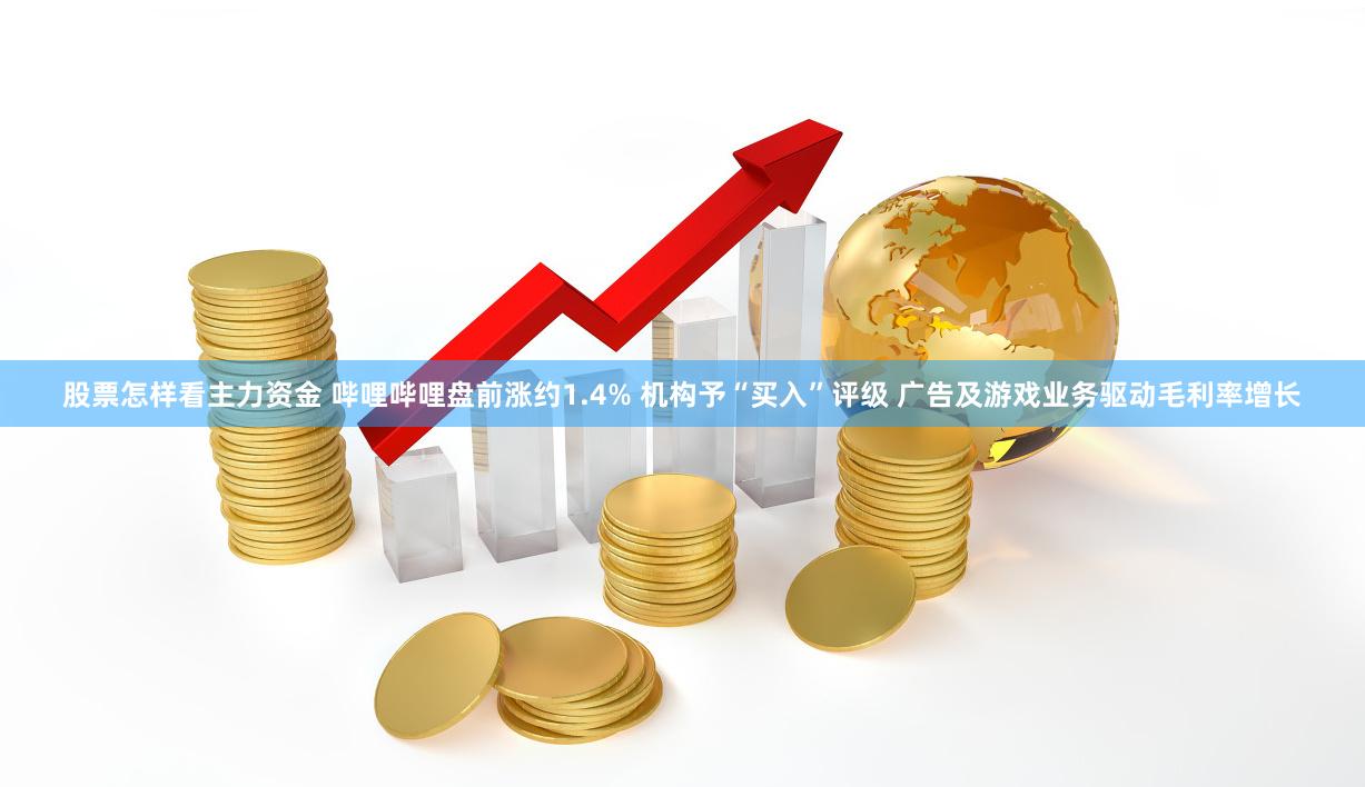 股票怎样看主力资金 哔哩哔哩盘前涨约1.4% 机构予“买入”评级 广告及游戏业务驱动毛利率增长