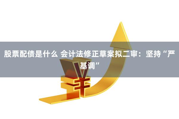 股票配债是什么 会计法修正草案拟二审：坚持“严基调”