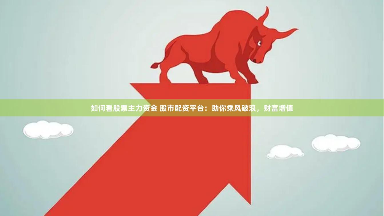 如何看股票主力资金 股市配资平台：助你乘风破浪，财富增值
